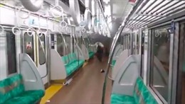 Lại xảy ra tấn công trên tàu điện ngầm tại Nhật Bản