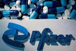 Pfizer xin cấp phép lưu hành thuốc Paxlovid điều trị COVID-19 tại Mỹ