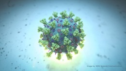 Lây nhiễm đột phá có thể tạo &#39;siêu miễn dịch&#39; chống COVID-19 lên tới 2.000%