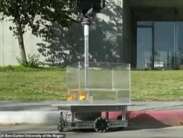 Israel huấn luyện cá vàng ‘lái’ robot trên cạn