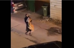 Video người phụ nữ tay không ôm sư tử xổng chuồng trên đường phố