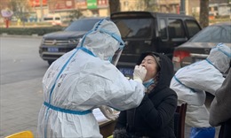 Trung Quốc bắt giữ quan chức phòng thí nghiệm vì nghi ngờ để lây lan virus SARS-CoV-2