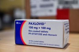 Mỹ thử nghiệm sử dụng thuốc Paxlovid trong điều trị COVID-19 kéo dài