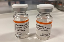 Thuốc trị COVID-19 Strovimab có thể hình thành đột biến kháng thuốc