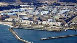 Nhật Bản xác nhận không có bất thường tại các nhà máy điện hạt nhân sau động đất