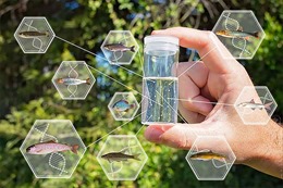 Giải trình tự DNA của môi trường: Kỹ thuật tạo ra cuộc cách mạng sinh học