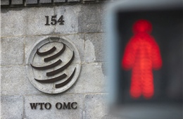 Bộ Ngoại giao Nga cảnh báo những hệ luỵ nếu Moskva rút khỏi WTO 