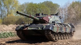Nhà sản xuất vũ khí Đức có thể chuyển giao xe tăng &#39;báo hoa&#39; cho Ukraine