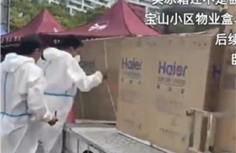 Người dân Thượng Hải đổ xô mua tủ lạnh, tủ trữ đông giữa đợt phong toả