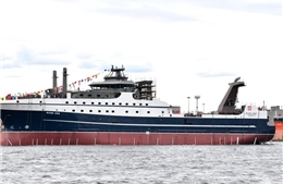 ‘Lỗ hổng’ thương mại giúp hải sản Nga vẫn có thể vào Mỹ bất chấp lệnh trừng phạt