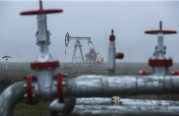 Ba Lan tính huỷ bỏ toàn bộ hợp đồng dầu khí đã ký kết với Nga