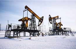 Quốc gia EU sẽ phủ quyết lệnh cấm dầu Nga nếu không được miễn trừ