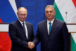 Lý do khiến Hungary không ủng hộ lệnh trừng phạt dầu mỏ Nga của EU