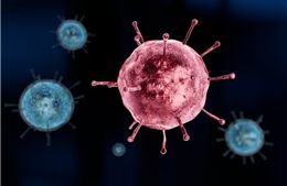 Tây Ban Nha lần đầu ghi nhận trường hợp mắc cúm gia cầm ở người