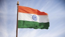 Điện mừng kỷ niệm ngày Độc lập của Cộng hòa Ấn Độ