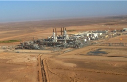 Khí đốt từ Algeria không thể bù đắp thiếu hụt năng lượng ở châu Âu