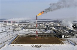 Giá dầu mỏ Nga giảm xuống dưới mức trần đề xuất tại EU 