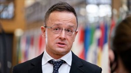 Hungary giải thích lý do không viện trợ vũ khí cho Ukraine
