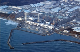 Mối lo khi Nhật Bản tái khởi động các nhà máy điện hạt nhân do thiếu năng lượng