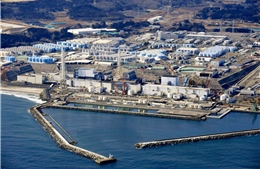 Nhật Bản có thể phát triển nhà máy điện hạt nhân mới để đảm bảo an ninh năng lượng