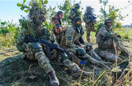 Quan chức Ukraine tiết lộ Kiev đã chuẩn bị cho xung đột quân sự từ năm 2019