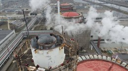 Nga và G7 hoan nghênh phái bộ IAEA đến nhà máy điện hạt nhân Zaporozhye
