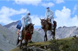 &#39;Đội kỵ binh’ Tây Tạng chiến đấu với COVID-19 