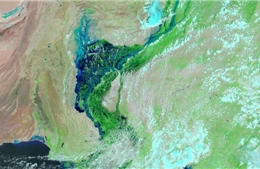 Lũ lụt kinh hoàng biến khu vực ở Pakistan thành hồ nước rộng 100 km