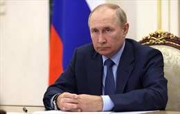 Điện Kremlin bình luận về khả năng Tổng thống Putin đến thăm Donbass