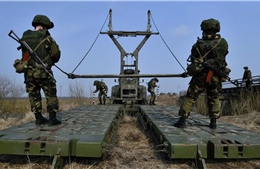 Tổng thống Nga và Belarus nhất trí triển khai nhóm quân sự chung