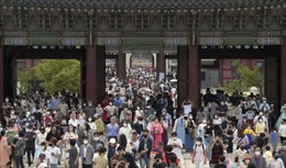 Chuyên gia nhận định nền kinh tế Hàn Quốc đang cận kề khủng hoảng