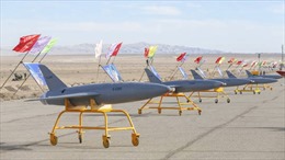 Phản ứng của các bên sau khi Iran thừa nhận chuyển UAV cho Nga