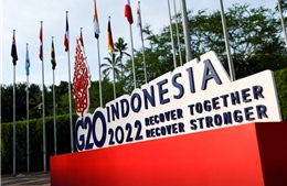 Thế giới tuần qua: Hội nghị cấp cao G20; Kết quả bầu cử giữa kỳ ở Mỹ đã ngã ngũ
