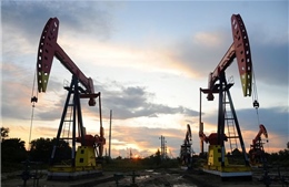 Taliban ký kết thỏa thuận dầu mỏ quốc tế lớn đầu tiên với công ty Trung Quốc