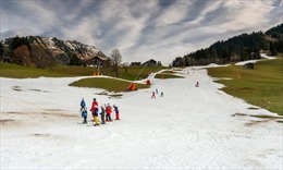 Các khu trượt tuyết đối mặt với thách thức lớn trong mùa đông ấm áp