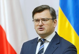 Quan chức Nga lên tiếng sau khi Ngoại trưởng Ukraine kêu gọi đối tác tăng viện trợ quân sự