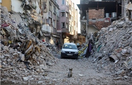 Những căn hộ ‘chống động đất’ đổ sập như domino trong thảm hoạ thế kỷ ở Thổ Nhĩ Kỳ