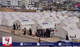 Thổ Nhĩ Kỳ: Những người sống sót cố gắng thích nghi với &#39;thành phố lều&#39;