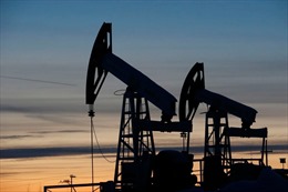 Các quốc gia EU tiếp tục tìm cách cắt giảm doanh thu dầu mỏ của Nga