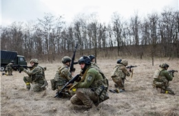 Ukraine thành lập xong 8 lữ đoàn cho chiến dịch phản công