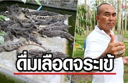 Doanh nhân Thái Lan gây tranh cãi khi uống huyết cá sấu để có sức khoẻ cường tráng