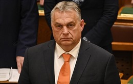Thủ tướng Hungary kêu gọi xúc tiến các biện pháp hòa giải cho cuộc xung đột Nga - Ukraine