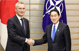 Nhật Bản khẳng định không có kế hoạch trở thành thành viên của NATO