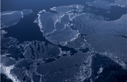 Biển Bắc Cực có thể không còn băng trong 10 năm nữa