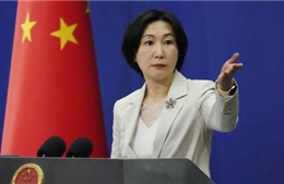 Trung Quốc phản ứng về kế hoạch hòa bình của châu Phi cho Ukraine