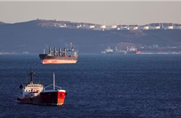 Dầu Nga chiếm gần một nửa lượng dầu nhập khẩu của Ấn Độ