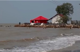 Ngôi làng Indonesia đang bị nước biển “nuốt chửng”