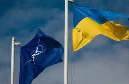 Con đường gia nhập NATO của Ukraine còn nhiều chông gai dù lộ trình đã rút ngắn