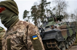 EU cân nhắc chuyển trung tâm huấn luyện quân sự đến Ukraine