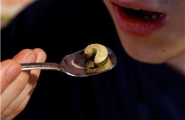 Món ăn chế biến từ côn trùng hút khách ở Nhật Bản